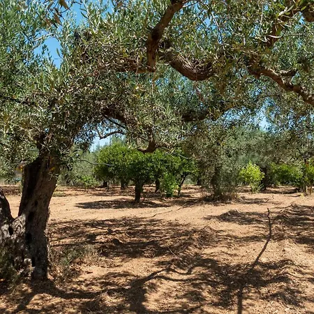In Campagna A Sciacca